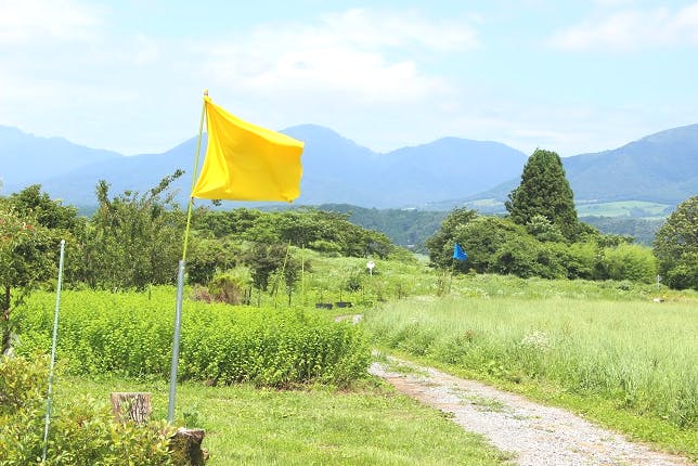 岡山 蒜山 ブルーベリー食べ放題プラン 時間無制限 持ち帰り可 アソビュー