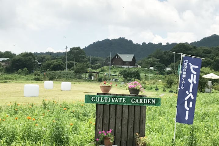 岡山 蒜山 ブルーベリー食べ放題プラン 時間無制限 持ち帰り可 アソビュー