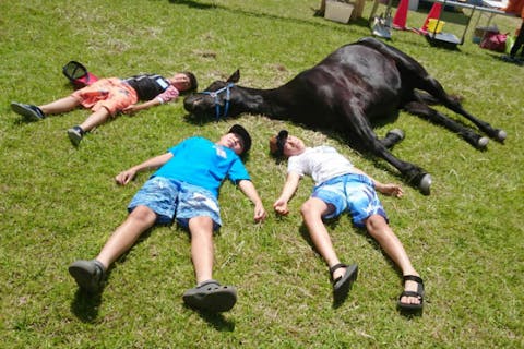 【岡山・和気郡】馬と仲良くなるスクール・体験乗馬付き（70分）