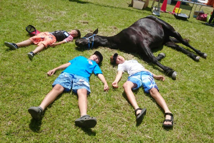 ハッピーホースファーム