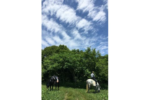【岡山・和気郡】経験者向け・山外乗プラン（乗馬時間：60分）