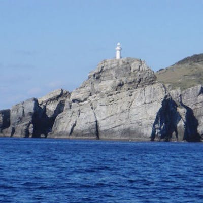 長崎 五島列島 沖釣り 貸切 7時間 アソビュー 長崎 五島列島 沖釣り 貸切 7時間 アソビュー