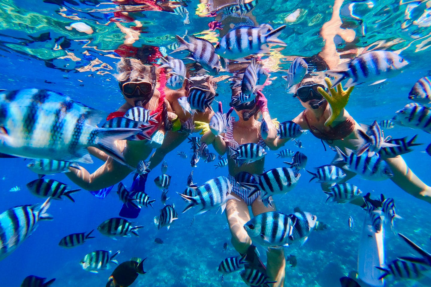 沖縄 青の洞窟 シュノーケル 青の洞窟と熱帯魚の餌付け満喫 大人気gopro写真 動画無料 激レア 地元沖縄人ガイド アソビュー