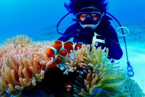 【沖縄・北谷・サンゴ礁・ファンダイビング・2ダイブ】サンゴ礁と熱帯魚の餌付け満喫！GoPro写真＆動画無料！口コミ＆写真高評価！