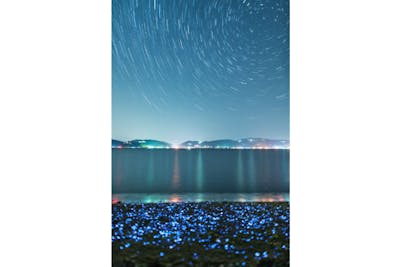 岡山 エコツアー 手軽さも魅力 近くて遠い存在 海ほたるを観察しよう アソビュー