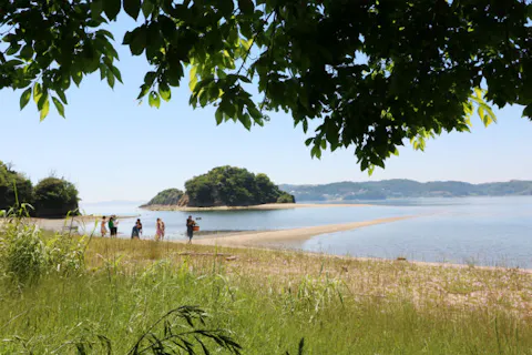 岡山 エコツアー 手軽さも魅力 近くて遠い存在 海ほたるを観察しよう アソビュー