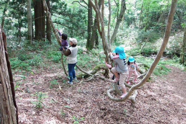 【岡山・ガイドツアー】森のゆりかごで癒しを実感！毛無山麓ゆったり2時間散策コース
