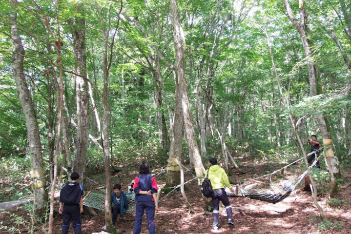 岡山 ガイドツアー 森のゆりかごで癒しを実感 毛無山麓ゆったり2時間散策コース アソビュー