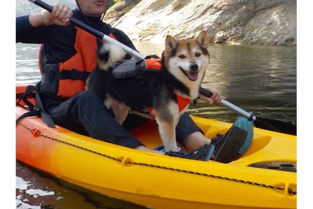 【福島・カヤック体験】ペットと一緒プラン！ダム湖でカヤック体験