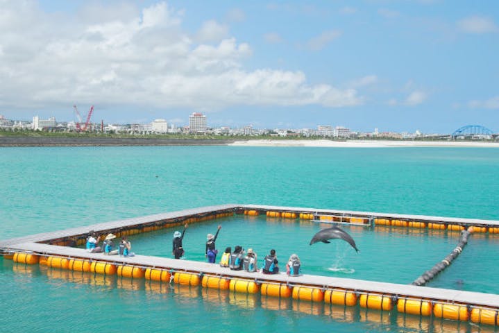 ドルフィンファンタジー石垣島