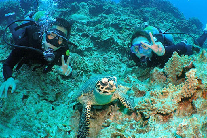 SeaMonk（シーモンク）