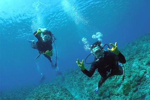 【沖縄・慶良間諸島】2ダイブできる！チービシ体験ダイビング（貸切・写真撮影付）