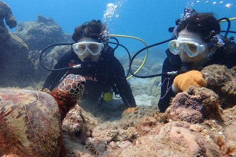 【屋久島】【屋久島ガイド歴25年の女性オーナー常駐】【貸切ツアーに変更可！】【ウミガメ遭遇率高い！】【初めてでも安心】【体験ダイビング】【1ダイブコース】