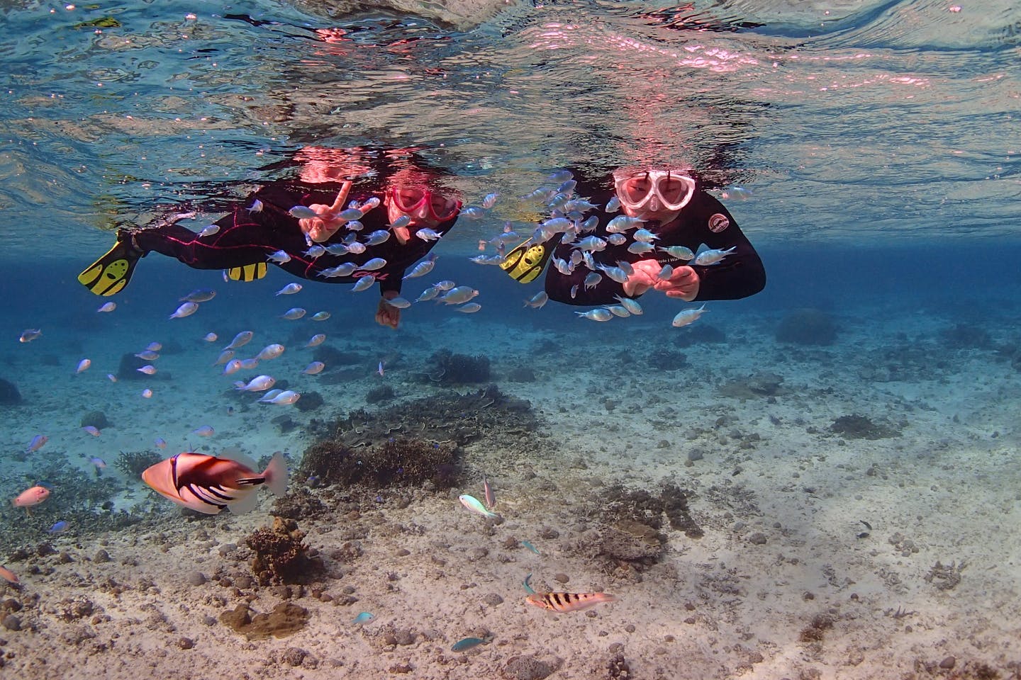 【沖縄・宮古島・シュノーケリング】遭遇率90！海亀とシュノーケリング｜アソビュー！