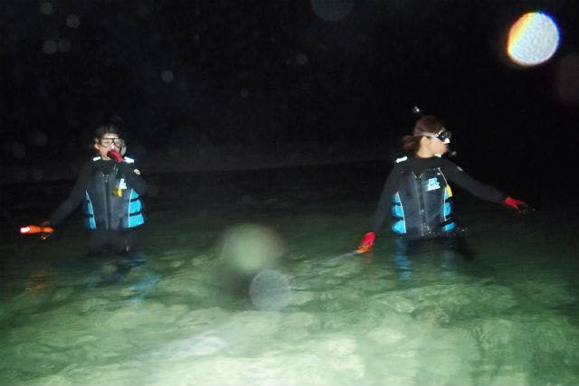 沖縄 宮古島 シュノーケリング 夜光虫や海ホタルの輝き 夜の海をシュノーケリング アソビュー