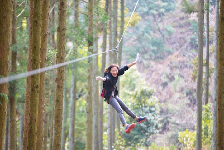 神奈川 厚木市 アスレチック 樹上15mの冒険 ツリークロスアドベンチャー ジップライン付 アソビュー