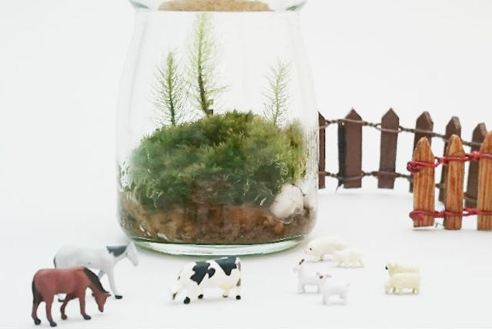 苔工房アイモス