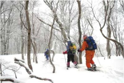 北海道 スノーシュー 冬のブナ林スノーシューガイドウォーク アソビュー