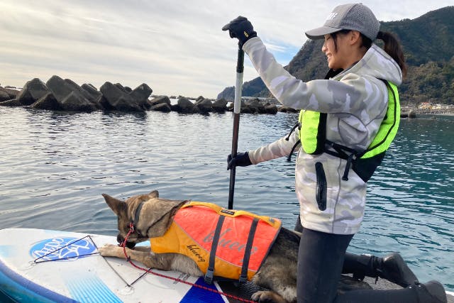 【静岡市・SUP】静かな用宗（モチムネ）の海で愛犬と一緒にドッグSUP！