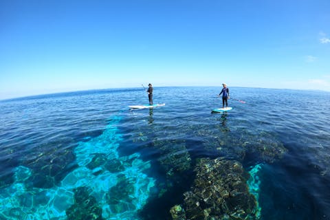 【沖縄・今帰仁村・SUP】SUP体験・SUPクルージング♪（120分） 初めての方から経験者の方までお楽しみ頂けます♪ 今帰仁村/古宇利島/美ら海水族館近くの天然ビーチで楽しむマリン体験♪