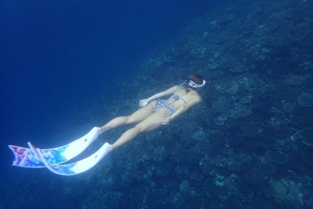 南ぬ島 DIVE SITEの割引プラン