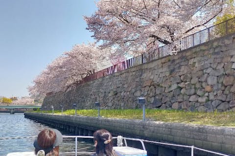 【大阪・大川・クルージング】大阪の桜の名所・大川でお花見クルーズ（チャーター最大12名まで）1Hプラン（1H単位で最長3Hまで延長可）