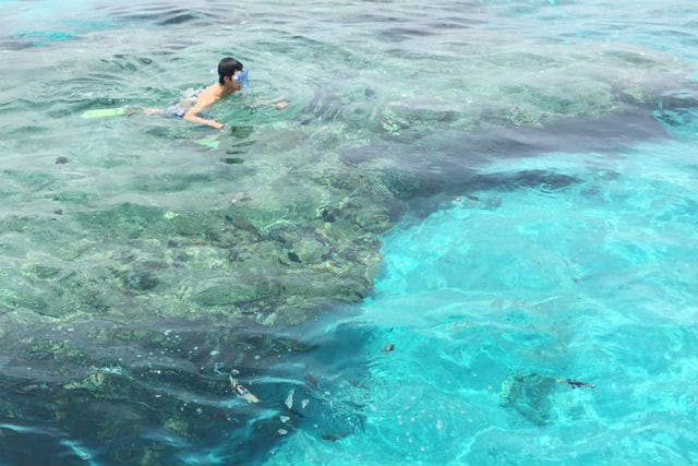 鹿児島 与論島 シュノーケリング 百合ヶ浜へ上陸 海中公園シュノーケリング アソビュー