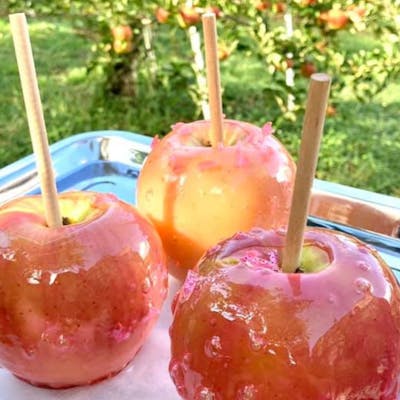 長野 りんご飴づくり体験 飴はパリッ りんごはジューシー 自分だけのオリジナルりんご飴をつくろう アソビュー 長野 りんご飴づくり体験 飴はパリッ りんごはジューシー 自分だけのオリジナルりんご飴をつくろう アソビュー