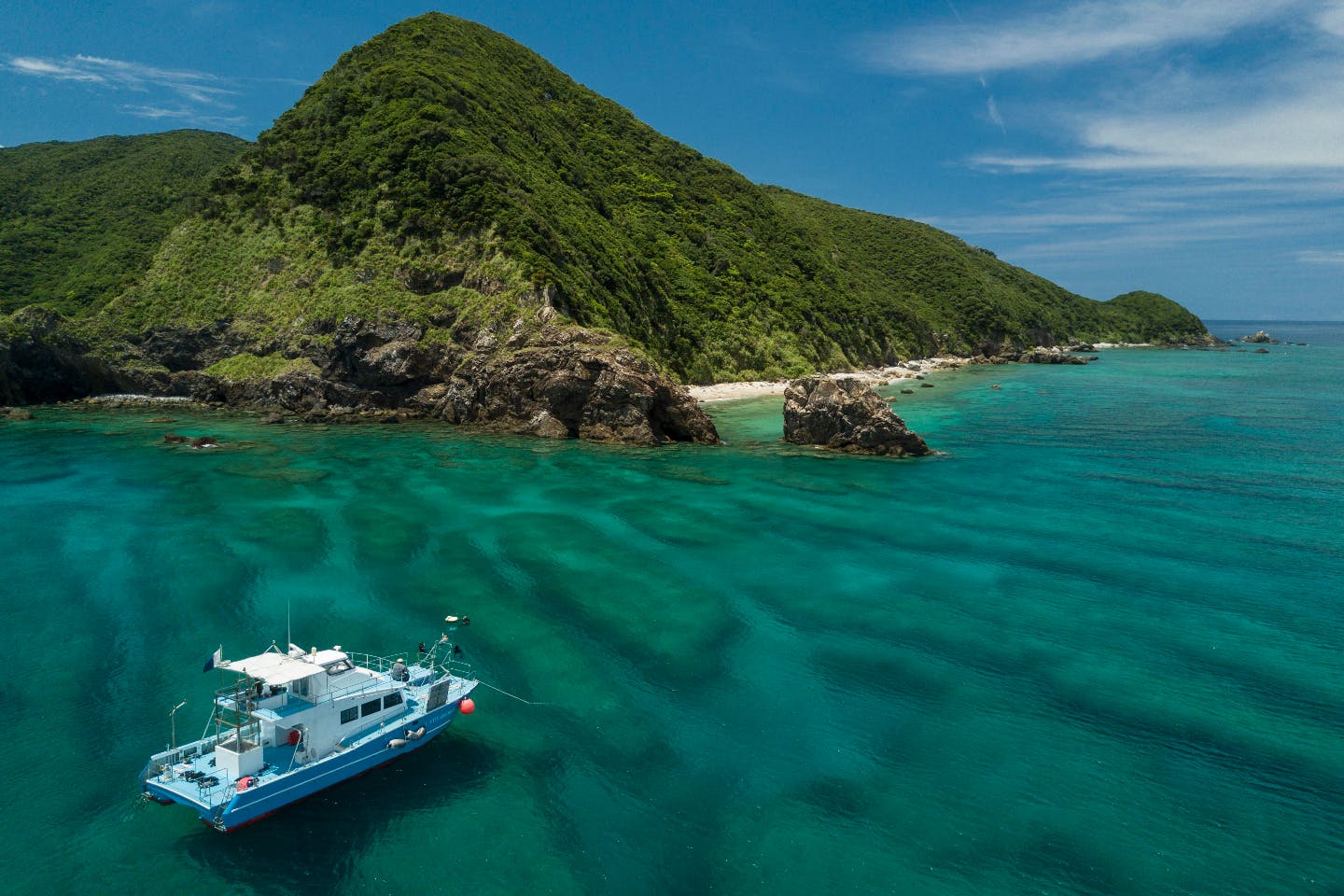 【奄美大島・南部・シュノーケリング】サンゴと熱帯魚の楽園へ・ボートに乗って奄美大島の海へ繰り出そう！