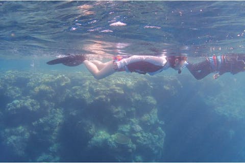 【奄美大島・南部・シュノーケリング】綺麗な海でのんびり。シュノーケリングレンタルプラン