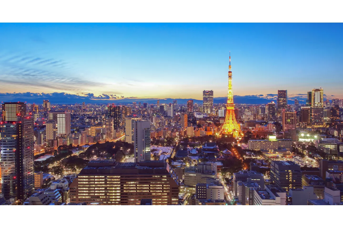 東京横浜ナイトクルーズ 東京の夜景を空から堪能 東京と横浜の夜景を楽しめる贅沢な夜空のクルージング アソビュー