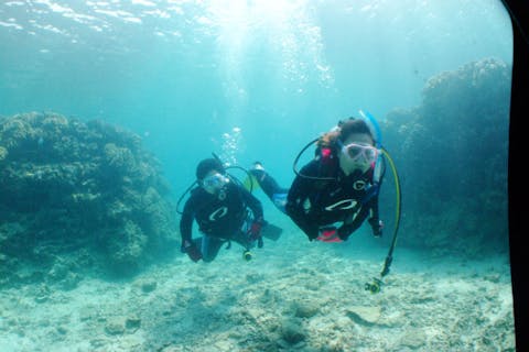 【沖縄全域・体験ダイビング・冬季割引あり】本島全域で潜れます！ビーチ体験ダイビング（写真撮影付）