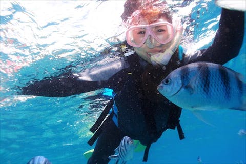 【沖縄全域・シュノーケリング】冬季割引あり！ご希望のポイントで潜れます！ベテランガイドが案内するシュノーケリングツアー（写真撮影・お魚の餌付け付）