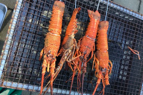 【三重・志摩市・釣り体験】釣って、焼いて、食す！冬の味覚 伊勢えびが最大2匹まで釣れる！チャレンジコース！！