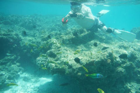 鹿児島離島 シュノーケリングツアー体験料金比較 予約 初心者おすすめツアー アソビュー