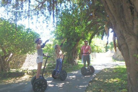 【沖縄・読谷村・セグウェイ】むら咲むらセグウェイツアー60分コース