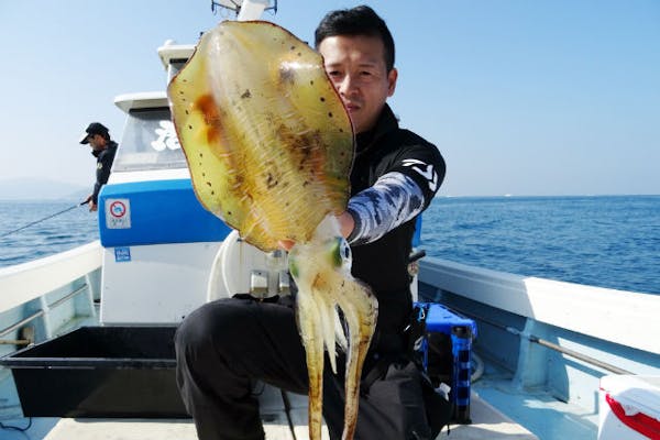 大分 海釣り体験 エギング イカ釣り 8時間 アソビュー