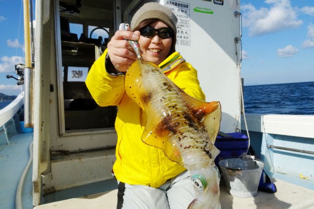 大分 海釣り体験 エギング イカ釣り 8時間 アソビュー