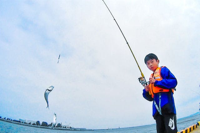 みちのく海釣りガイド