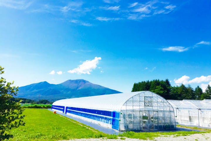 軽井沢ガーデンファームいちご園 ネット予約ならアソビュー 軽井沢ガーデンファームいちご園 ネット予約ならアソビュー