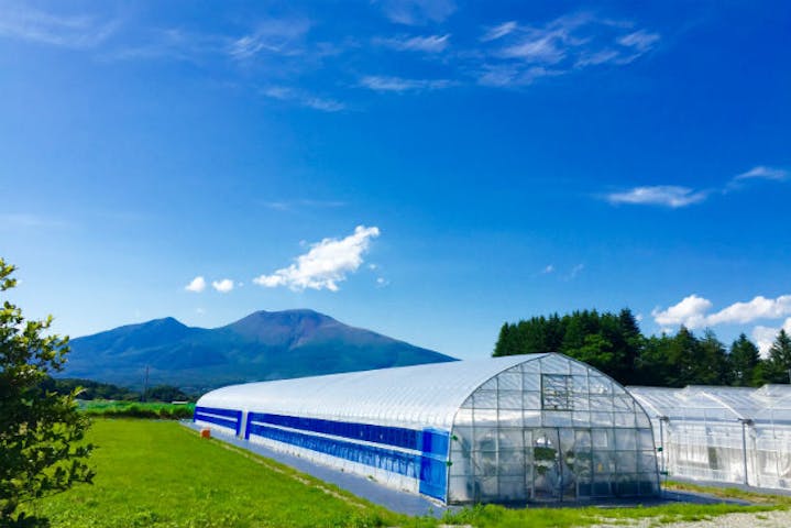 軽井沢ガーデンファームいちご園 ネット予約ならアソビュー