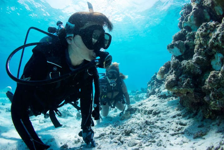 伊良部島マリンセンター