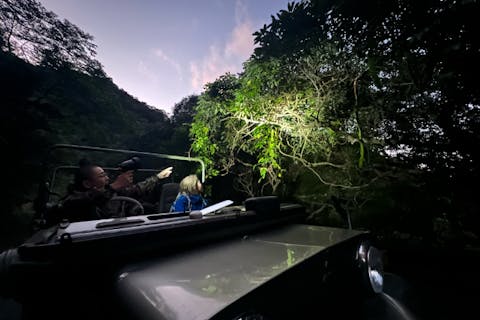 【鹿児島・奄美大島・ナイトサファリツアー】少人数制・4WDジープでアマミノクロウサギを探しに行こう！