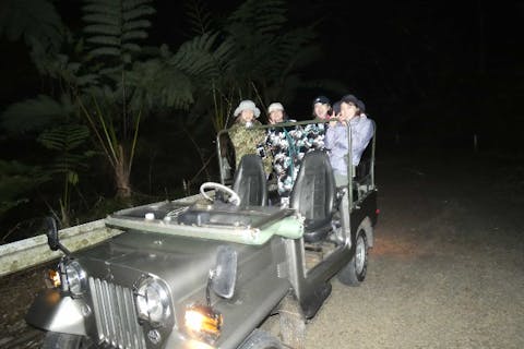 【鹿児島・奄美大島・ミッドナイトツアー】アマミノクロウサギ遭遇率100%・少人数制・4WDジープで体験！