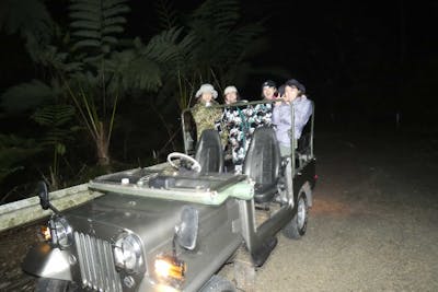 鹿児島・奄美大島・ミッドナイトツアー】アマミノクロウサギ遭遇