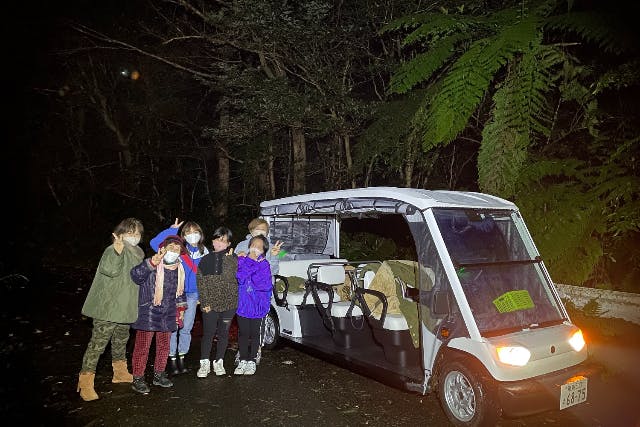 【電気自動車で巡る「奄美の原生林」ナイトツアー・奄美大島】夜の動物たちを見逃すな！ここでしか感じられないありのままの大自然！