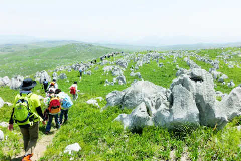 【山口・秋吉台・トレッキング】穴場満載の3.5km！秋吉台トレッキング2時間★祝世界ジオパーク認定★Mine秋吉台ジオパーク