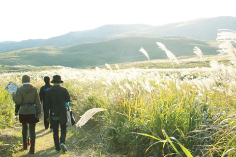 【山口・秋吉台・トレッキング】(120分)秋吉台の魅力＆穴場満載の3.5km！★祝2026年世界ジオパーク認定★Mine秋吉台ジオパーク・国定公園