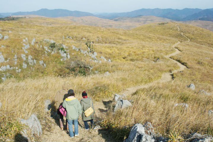 山口 秋吉台 トレッキング 歩きごたえ充分の6km 3時間 秋吉台のてっぺんでお茶するっちゃ アソビュー