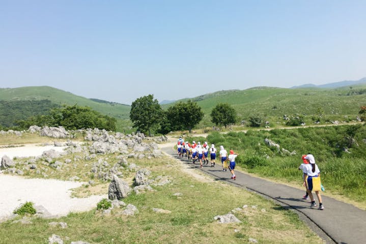 山口 秋吉台 トレッキング 涼しい時間帯にご案内 若竹山コース 夕涼み 早朝 アソビュー